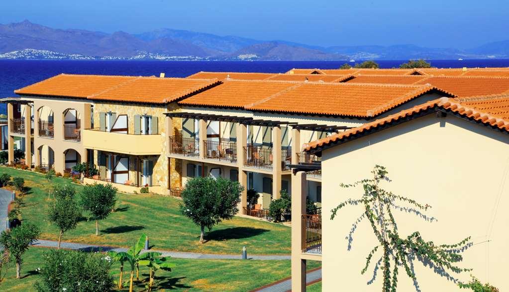 White Olive Marine Aquapark Tigaki